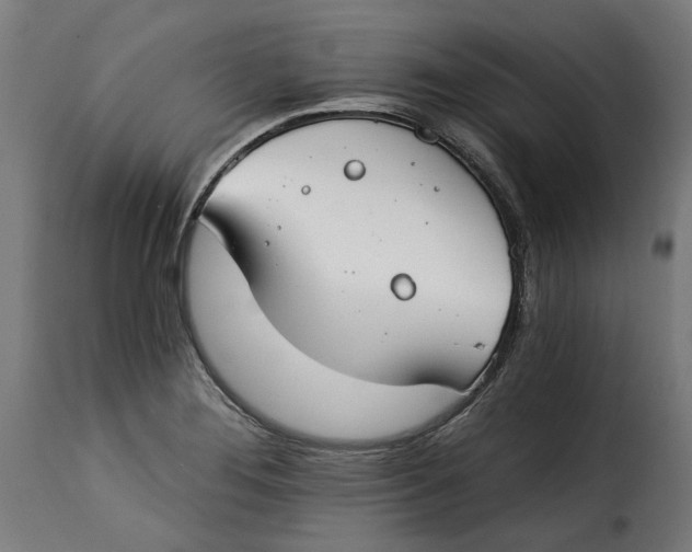 X0000115251276200911201634