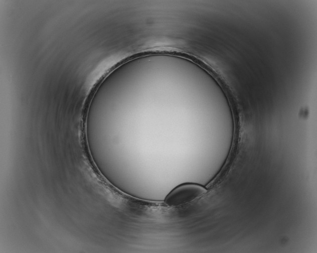 X0000115251277200911201634