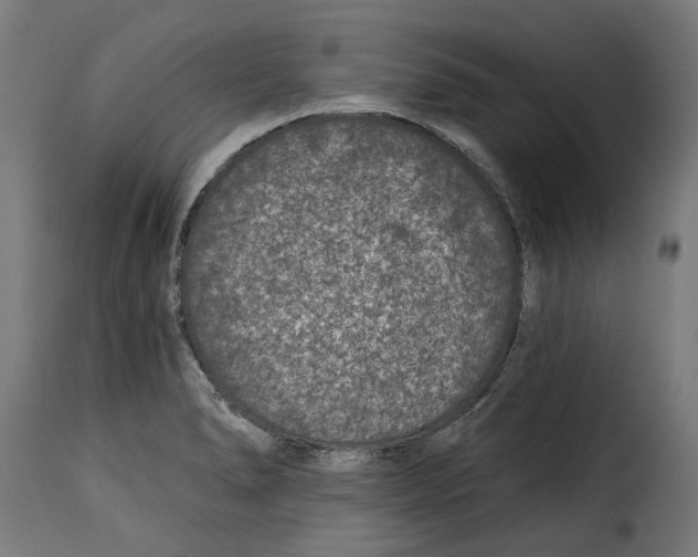 X0000115251278200911201634