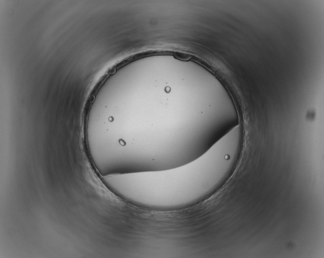 X0000115251280200911201634