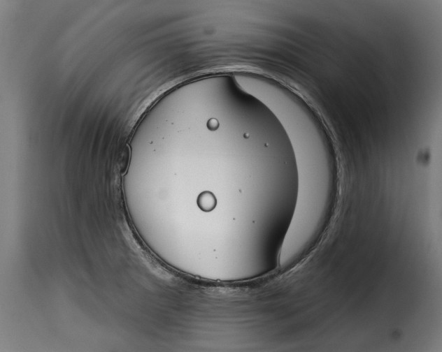 X0000115251281200911201634