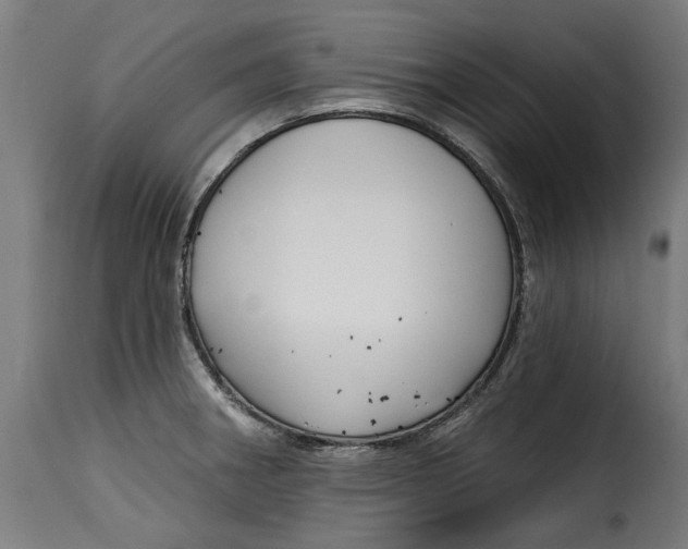 X0000115251282200911201634