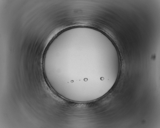 X0000115251283200911201634