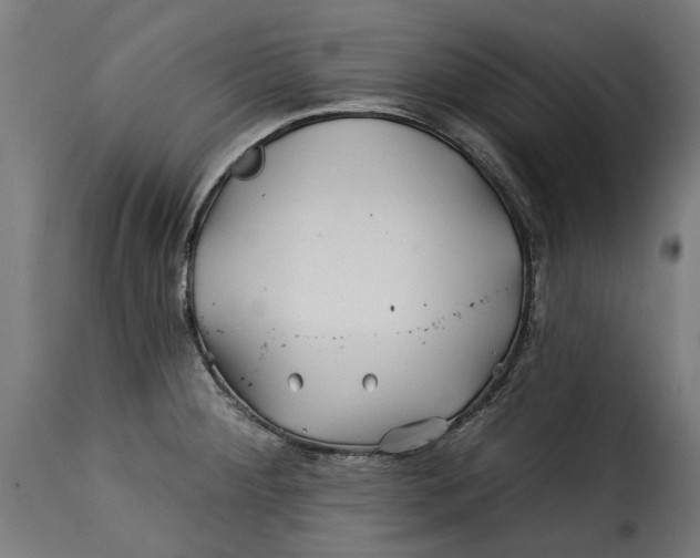 X0000115251284200911201634