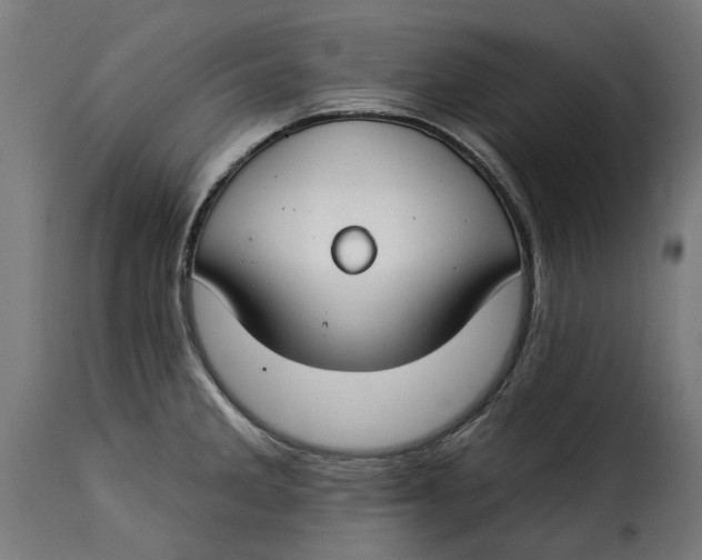 X0000115251285200911201634