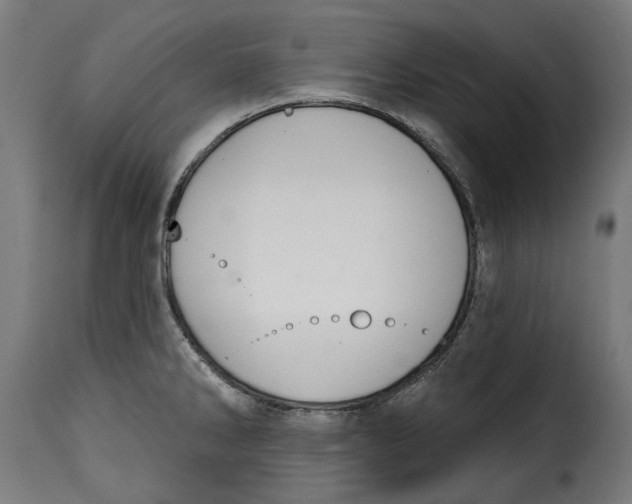 X0000115251286200911201634