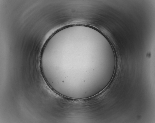 X0000115251288200911201634