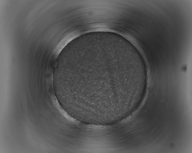 X0000115251289200911201634