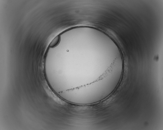 X0000115251292200911201634