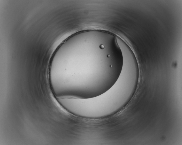 X0000115251293200911201634