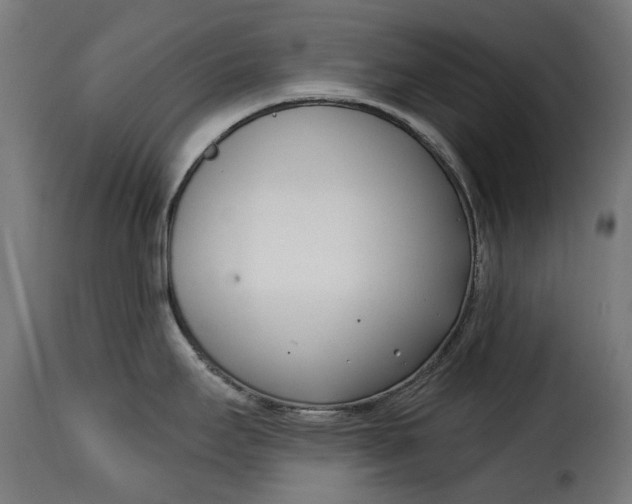 X0000115251295200911201634