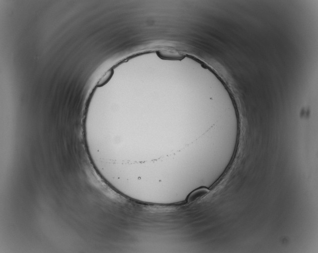 X0000115251296200911201634