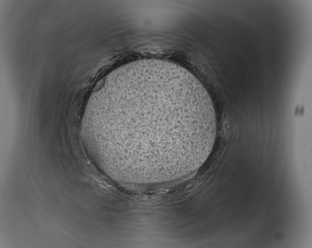 X0000115251297200911201633