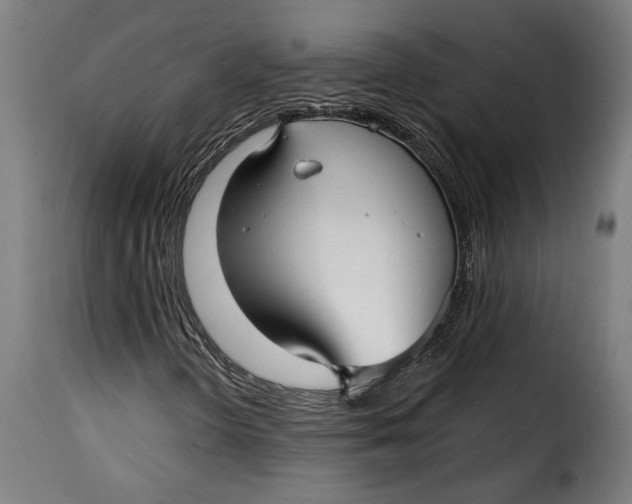 X0000115251298200911201634