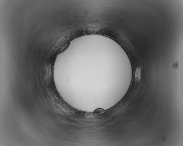 X0000115251299200911201634