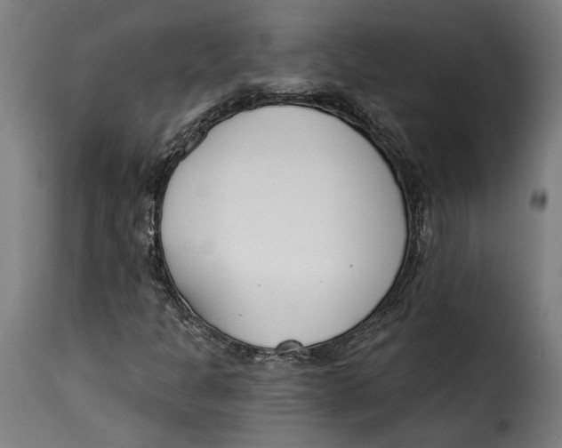 X0000115251301200911201634