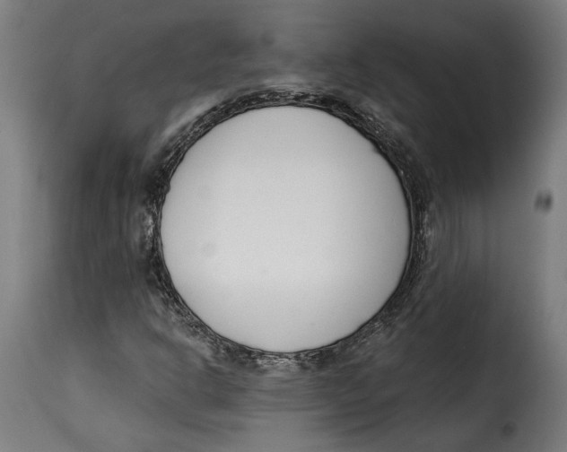 X0000115251302200911201634