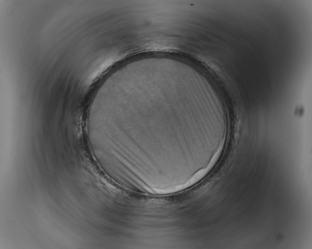 X0000115251306200911201634