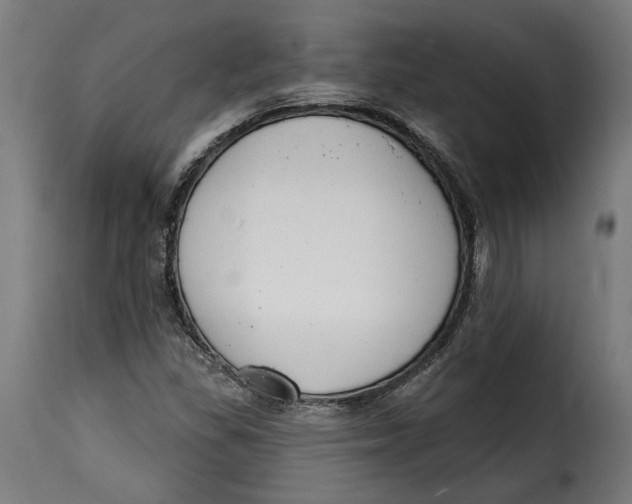 X0000115251309200911201634