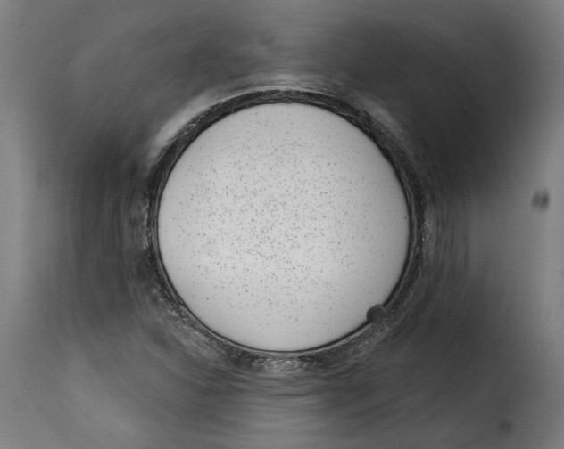 X0000115251310200911201634