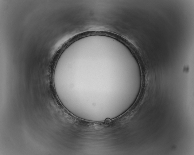 X0000115251311200911201634