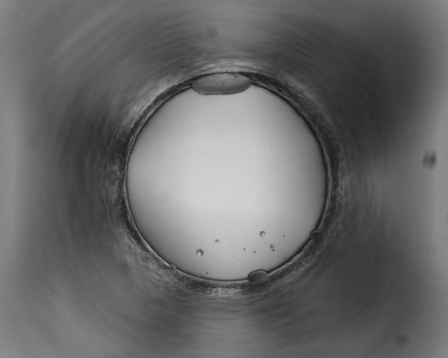 X0000115251313200911201634