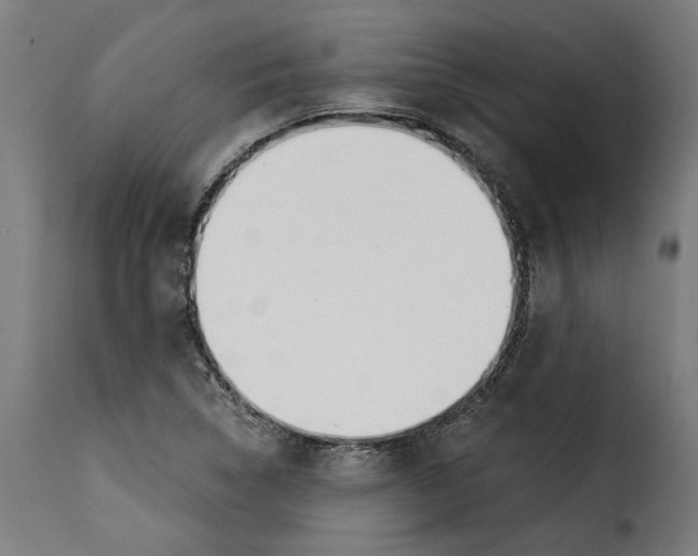 X0000115251314200911201634