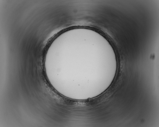 X0000115251315200911201634