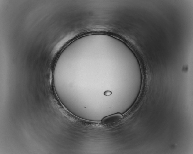 X0000115251317200911201634