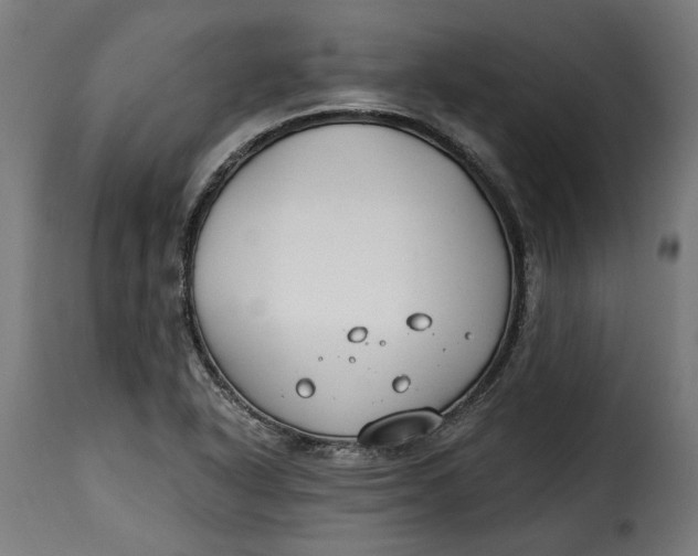 X0000115251318200911201634