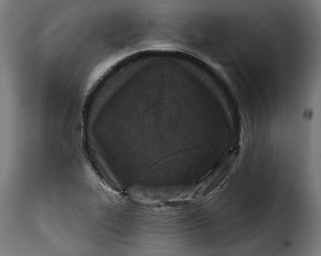 X0000115251319200911201634