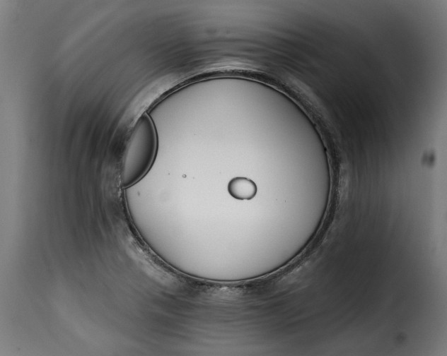 X0000115251321200911201634