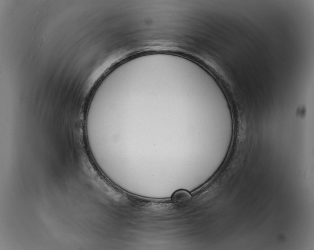 X0000115251325200911201634