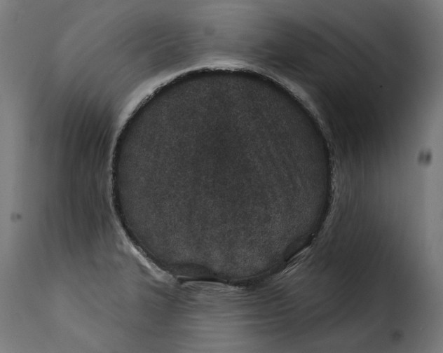 X0000115251327200911201634