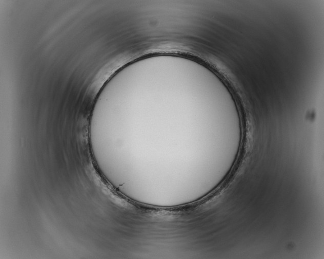 X0000115251329200911201634