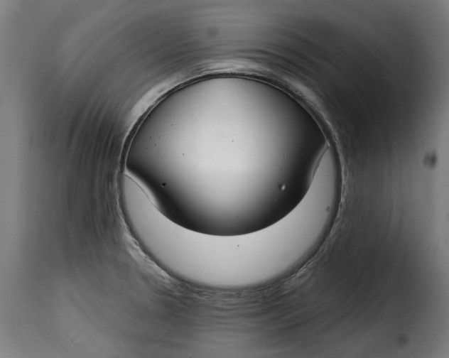 X0000115251330200911201634