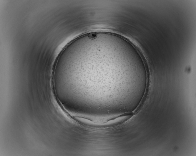 X0000115251333200911201634