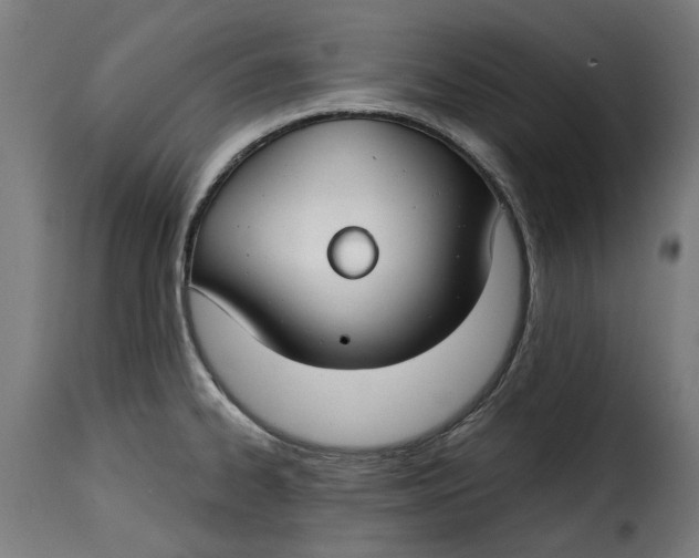 X0000115251334200911201634