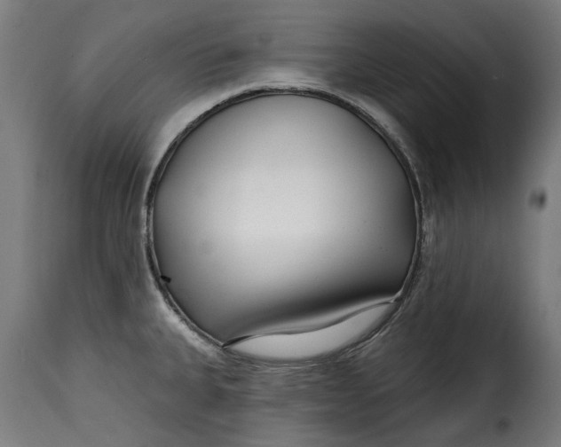 X0000115251335200911201634