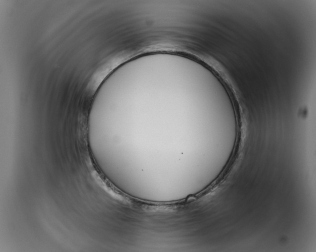 X0000115251337200911201634