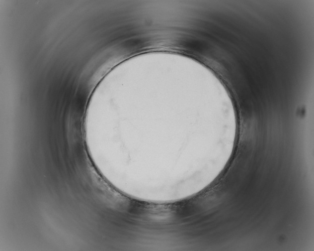 X0000115251338200911201634