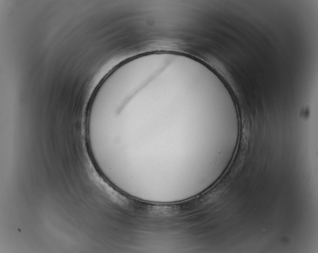 X0000115251339200911201634