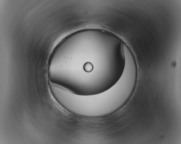 X0000115251342200911201634