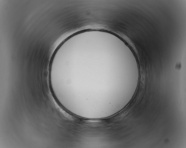 X0000115251343200911201634