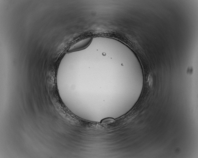 X0000115251348200911201633