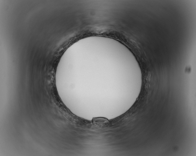 X0000115251349200911201633