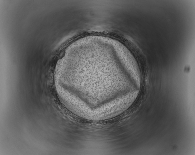 X0000115251350200911201633