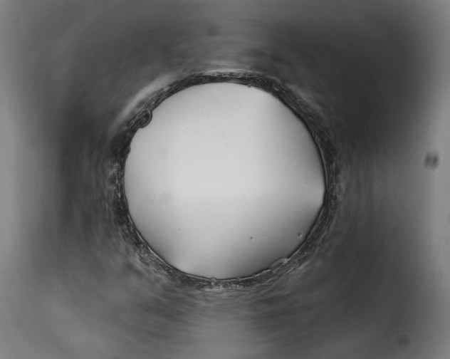 X0000115251351200911201633