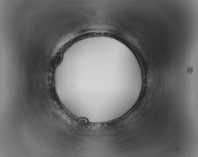 X0000115251352200911201633