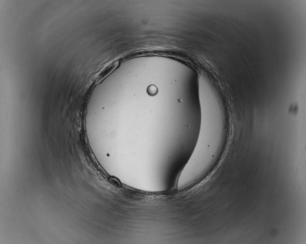 X0000115251353200911201633